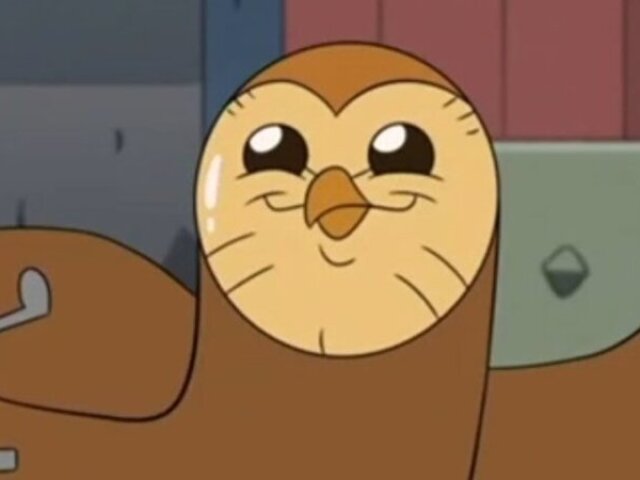 Você é o Hooty!
