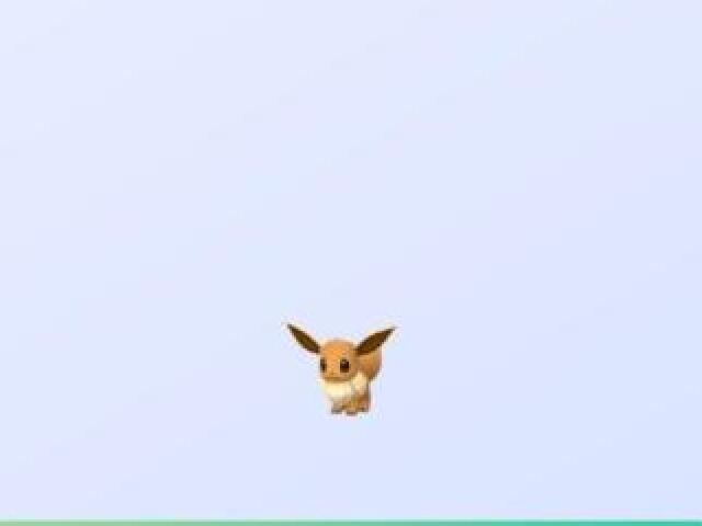 A mini eevee