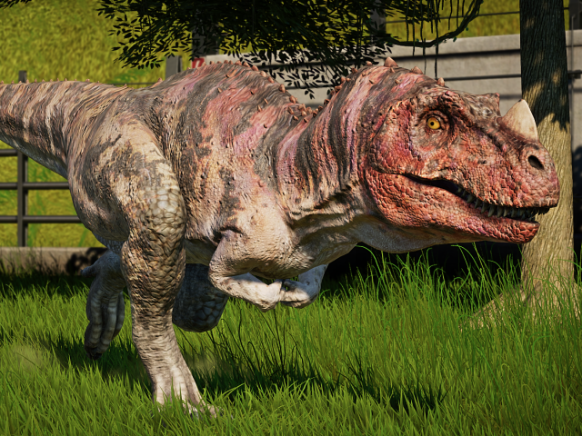 Um ceratosaurus adulto