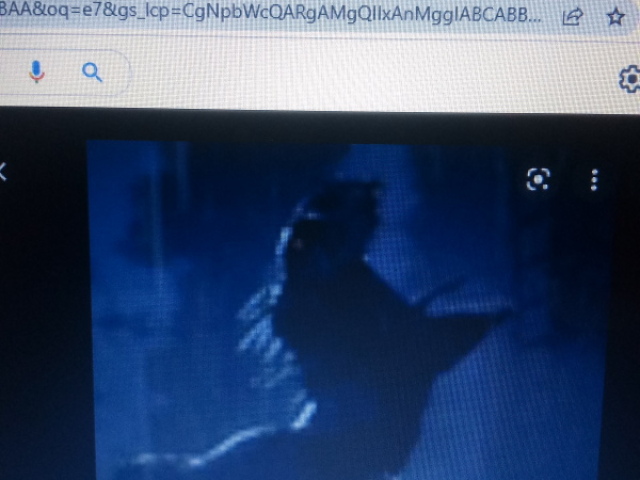 Scorpius rex