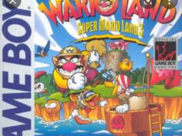 Wario's land