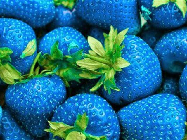Sua vida é azul