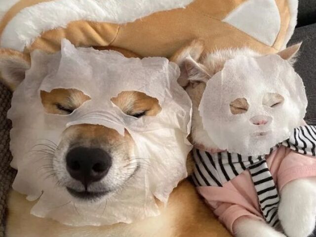 os dois