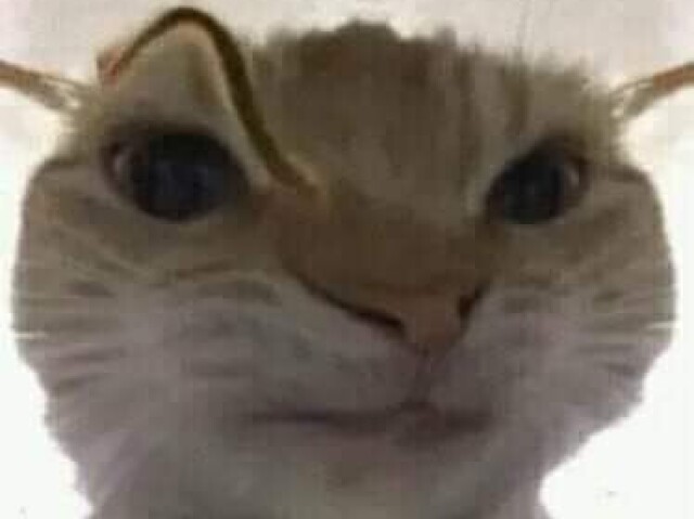 1/8
