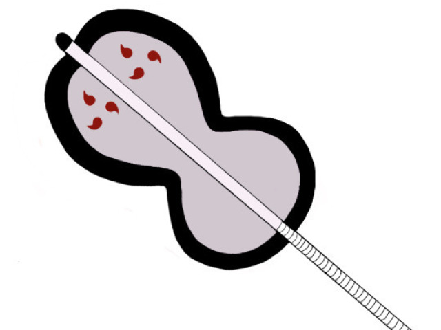 Leque (Reflete Ataques de Ninjutsu)