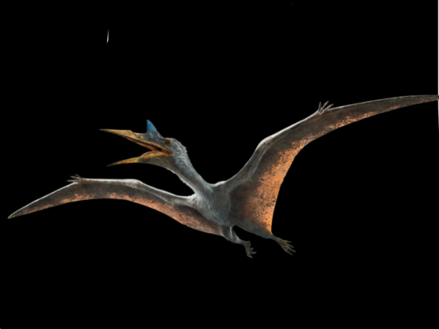 quetzalcoatlus