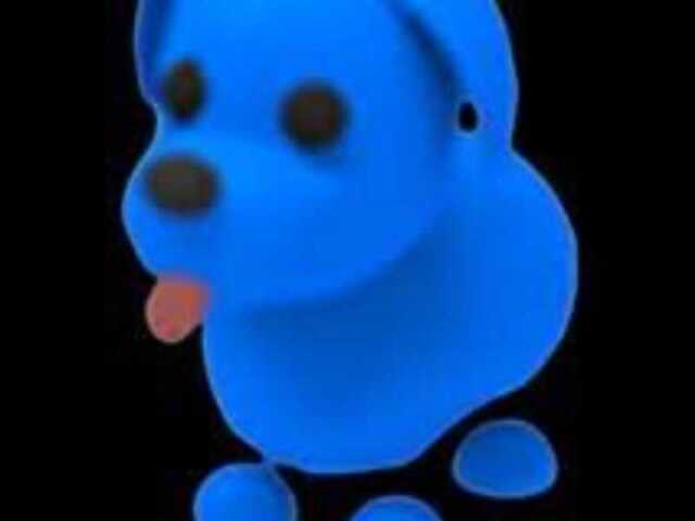 BLUE dog