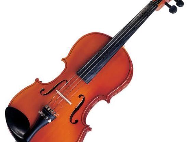 Violino