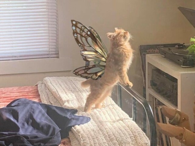 。◕‿◕。Fantástico。◕‿◕。