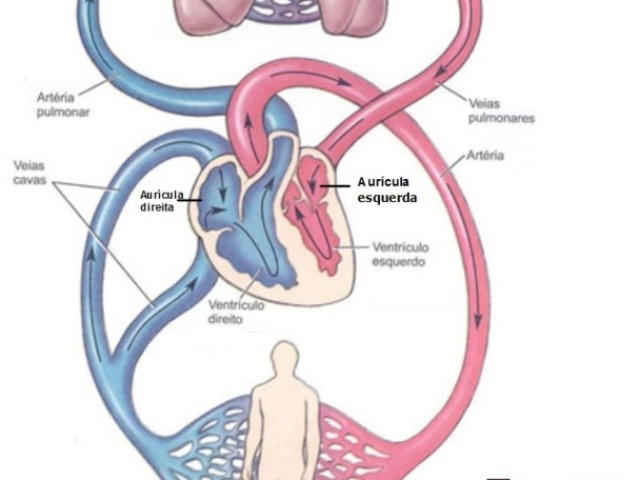 Sangue Arterial