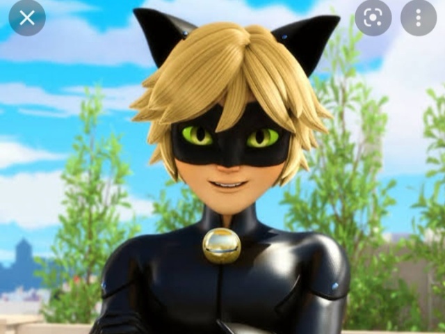 Cat Noir