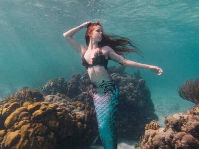 Sereia da protecção