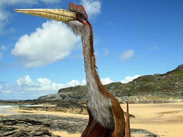 Quetzalcoatlus