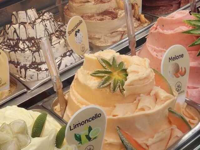 Não consigo escolher! Quero a sorveteria toda...