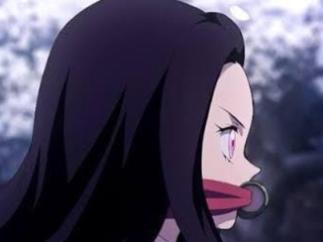 Você realmente conhece a nezuko?