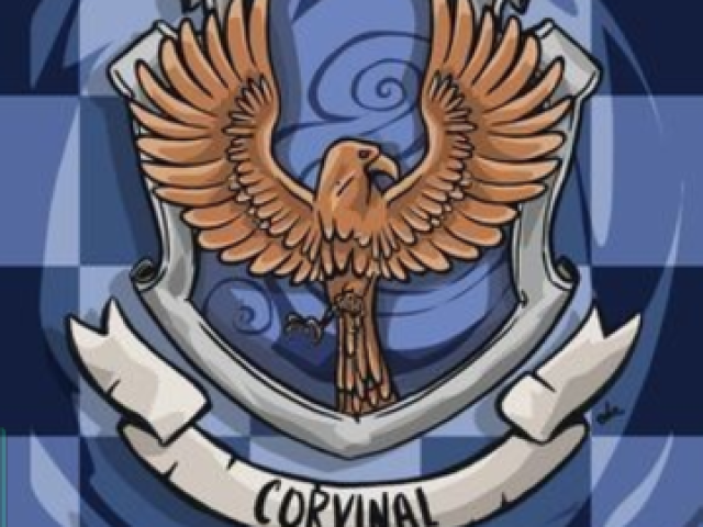 CORVINAL! 🐦💙🤍