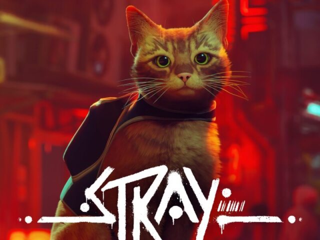 Stray