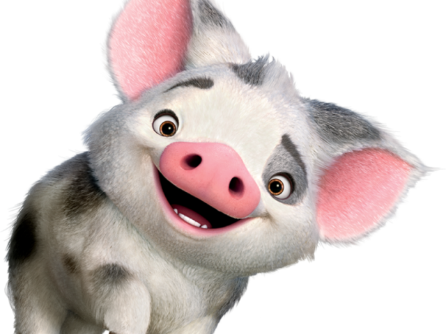 Puá (Moana)