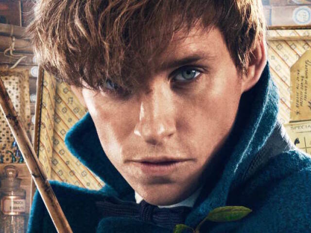 Newt Scamander