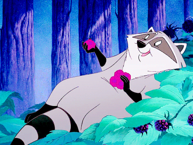 Meeko (Pocahontas)