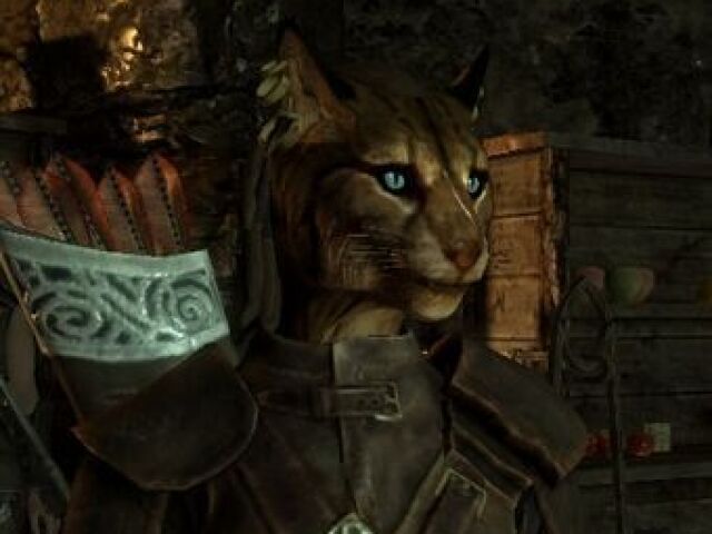 Um Khajiit