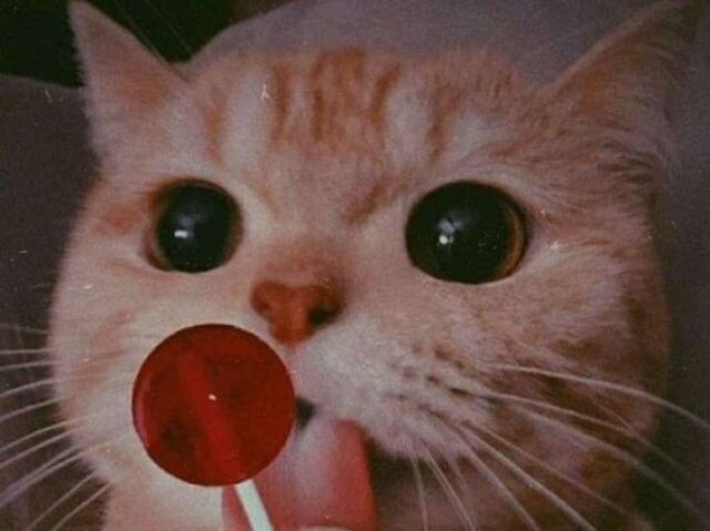 Você consegue melhorar
