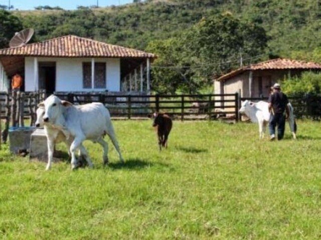 Áreas rurais
Vantagem: longe das grandes áreas com zumbis, plantações 
Desvantagem: também longe de suprimentos nas cidades