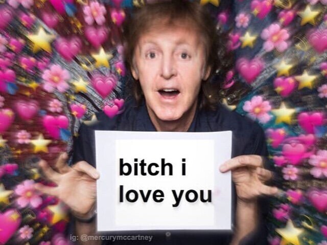 Fã ✨✨✨