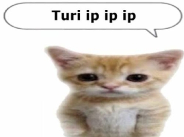 Turi ip ip ip