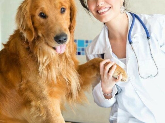 Veterinária