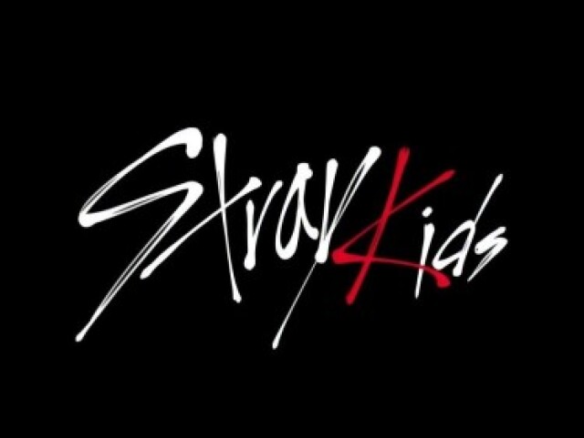 Quem você seria no Stray Kids?