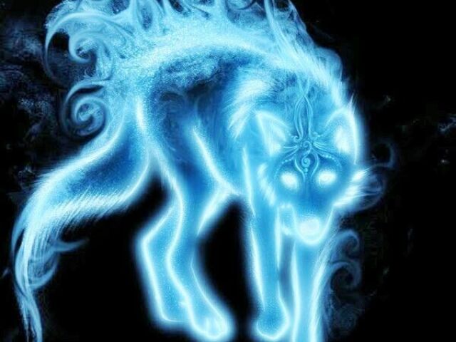 Lobo