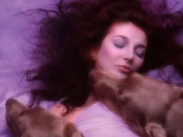 Kate Bush