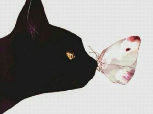 ๊งโ๏ธโ๏ธ๐๐๐ซ๐คโ๏ธโ๏ธ๊ง