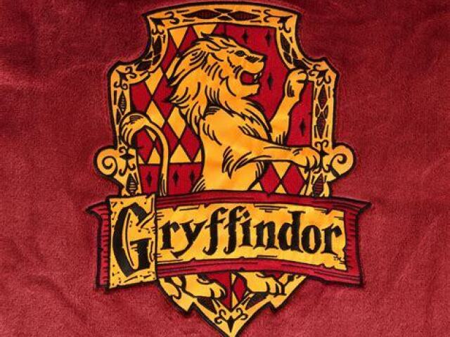 Gryffindor ❤️