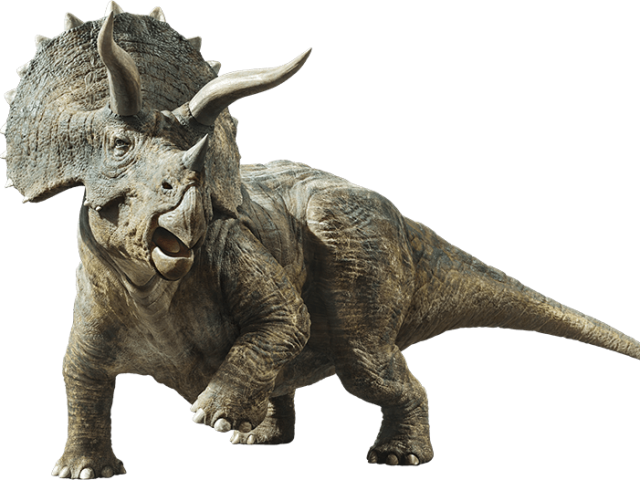 Triceratops