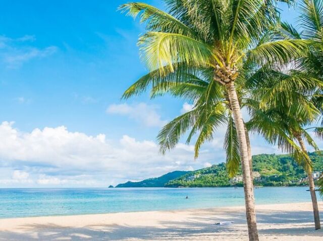 OU uma maravilhosa paisagem de uma praia no verão