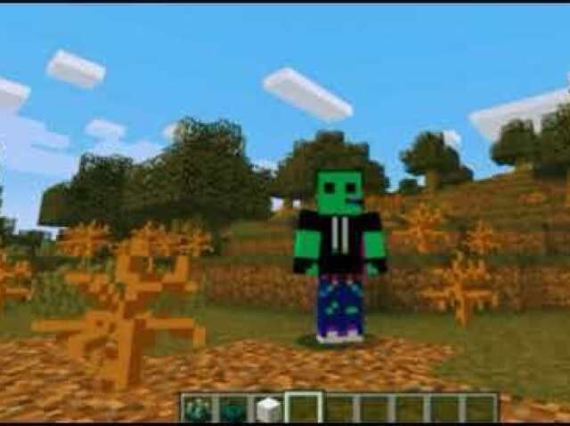 Minecraft