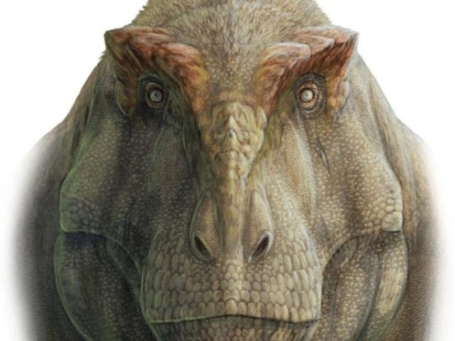 Quiz de Paleontologia (difícil) :)