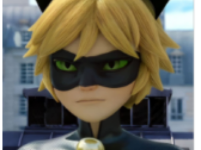 Cat noir