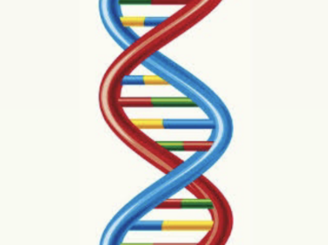 DNA