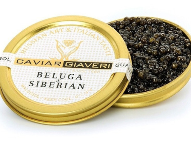 Caviar e comidas chiques