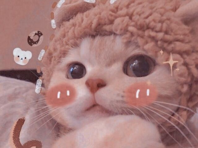 🌺Apartamento tumblr🌺