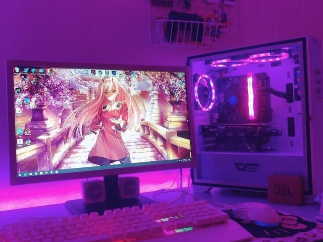 Pc gamer Anime