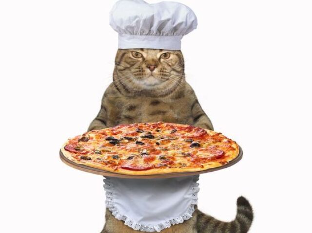 Gatito De La Pizza