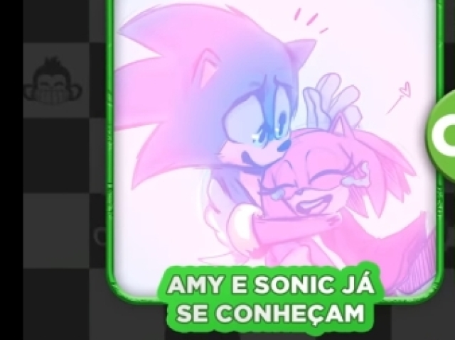 Que Amy e Sonic já se conhecem ou