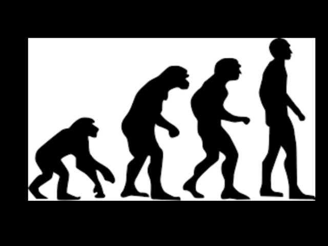 Theory of Evolution