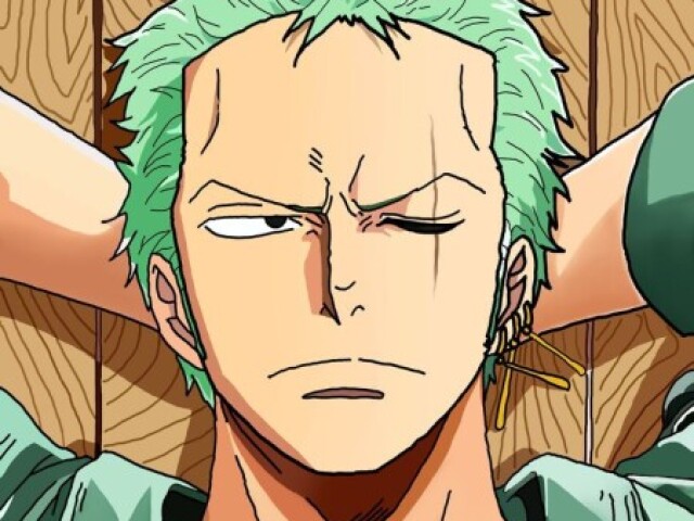 ZORO SOLADOR