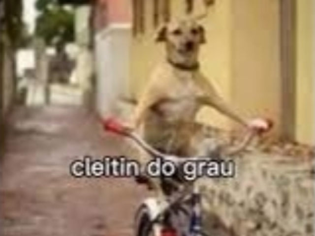 Cleitin do grau