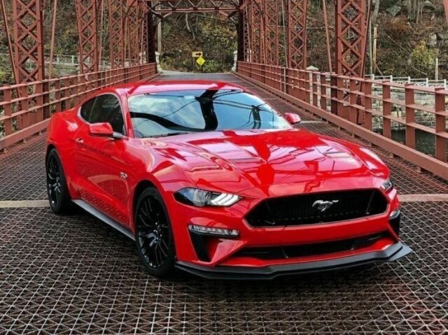 Mustang